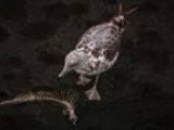 20140826-IMG 0169