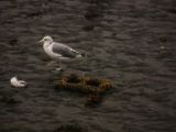 20140826-IMG 0173