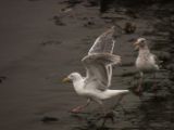 20140826-IMG 0176