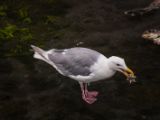 20140826-IMG 0178