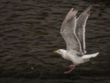 20140826-IMG 0180