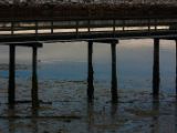 20140826-IMG 0194
