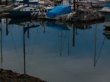 20140826-IMG 0206