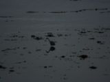 20140826-IMG 0220