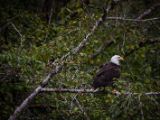 20140827-IMG 0254