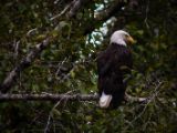 20140827-IMG 0264