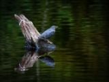 20140827-IMG 0290