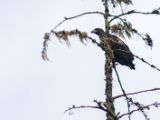 20140827-IMG 0319