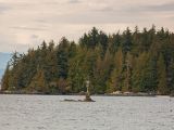 20140827-IMG 0328