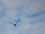 20140827-IMG 0345