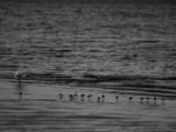 20140827-IMG 0351