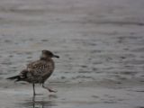 20140827-IMG 0356