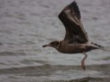 20140827-IMG 0364