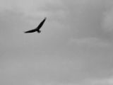 20140827-IMG 0391