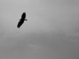 20140827-IMG 0394
