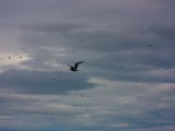 20140827-IMG 0399