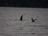 20140827-IMG 0416