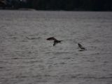 20140827-IMG 0419