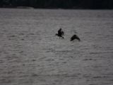 20140827-IMG 0420