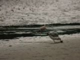 20140827-IMG 0428