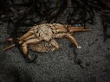 20140827-IMG 0433