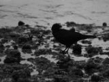 20140827-IMG 0434