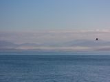 20140828-IMG 0476