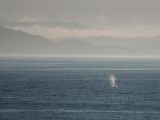 20140828-IMG 0485