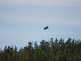 20140828-IMG 0574