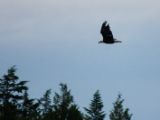 20140828-IMG 0579
