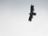 20140828-IMG 0596