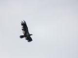 20140828-IMG 0603
