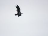 20140828-IMG 0604