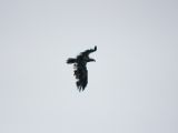 20140828-IMG 0605