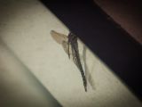 20140828-IMG 0615