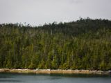 20140828-IMG 0653