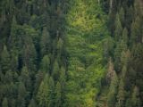 20140828-IMG 0692