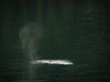 20140828-IMG 0693