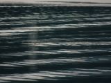 20140828-IMG 0695