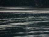 20140828-IMG 0696
