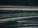 20140828-IMG 0697