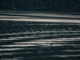 20140828-IMG 0699