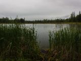 20140829-IMG 0734 : British Columbia, Canada