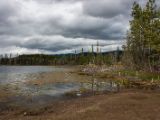 20140829-IMG 0748 : British Columbia, Canada