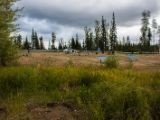 20140829-IMG 0749 : British Columbia, Canada