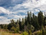 20140829-IMG 0762 : British Columbia, Canada