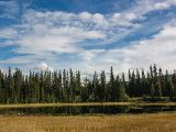 20140829-IMG 0792 : British Columbia, Canada