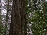 20140830-IMG 0821 : Canada