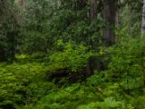 20140830-IMG 0840 : Canada