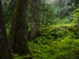 20140830-IMG 0844 : Canada